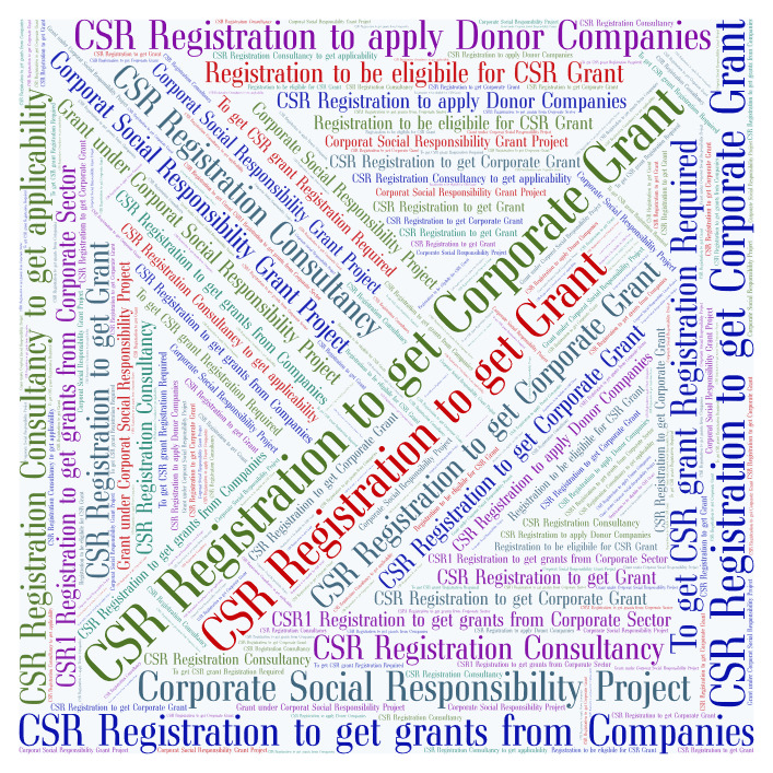 Corporate Social Responsibility (CSR) Grant